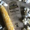 Free Day Popping Ears popcorn