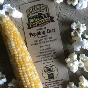 Free Day Popping Ears popcorn